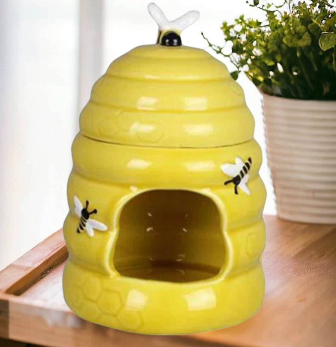 Bee Wax & Oil Warmer