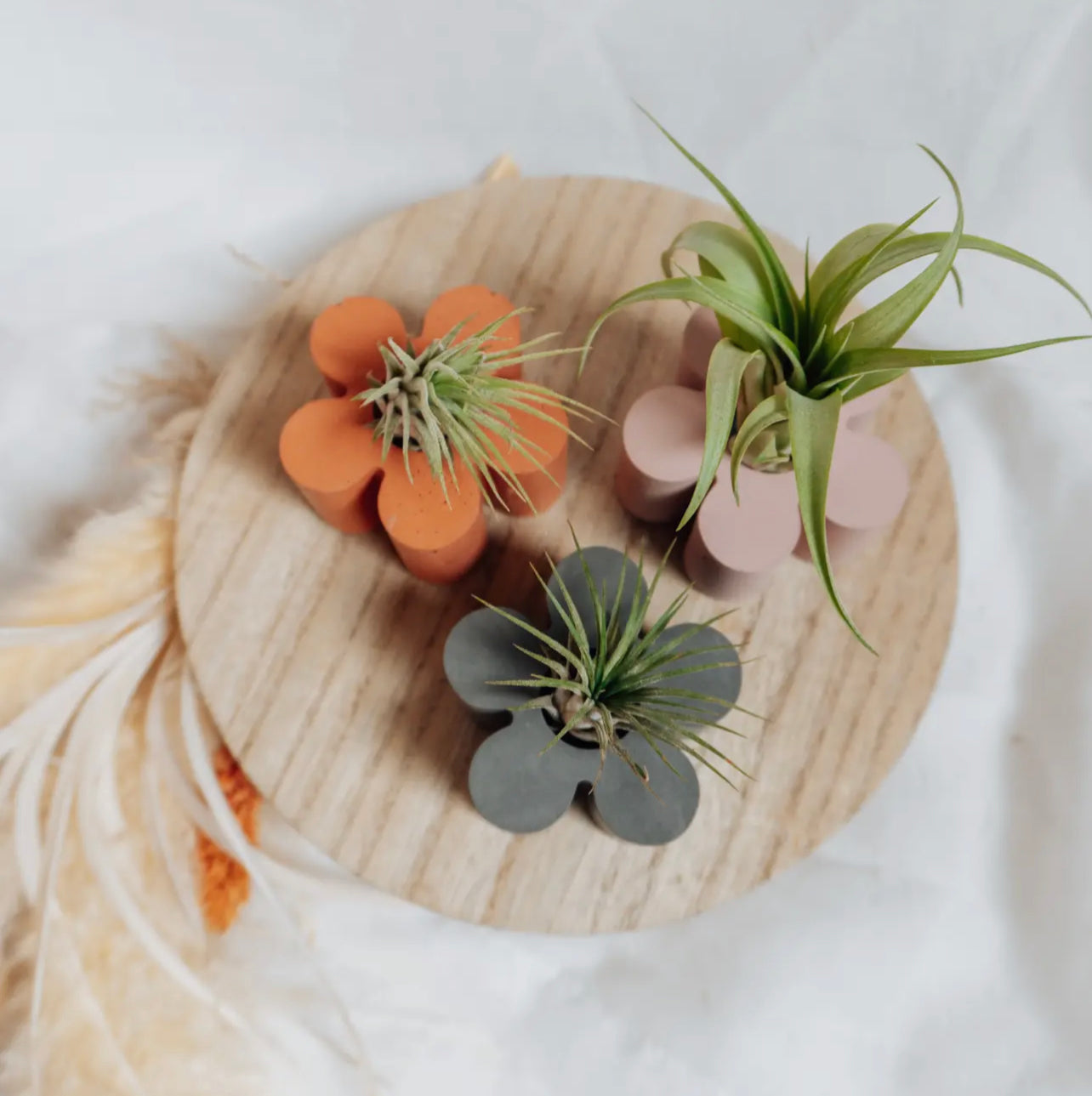 Flower Airplant Holder