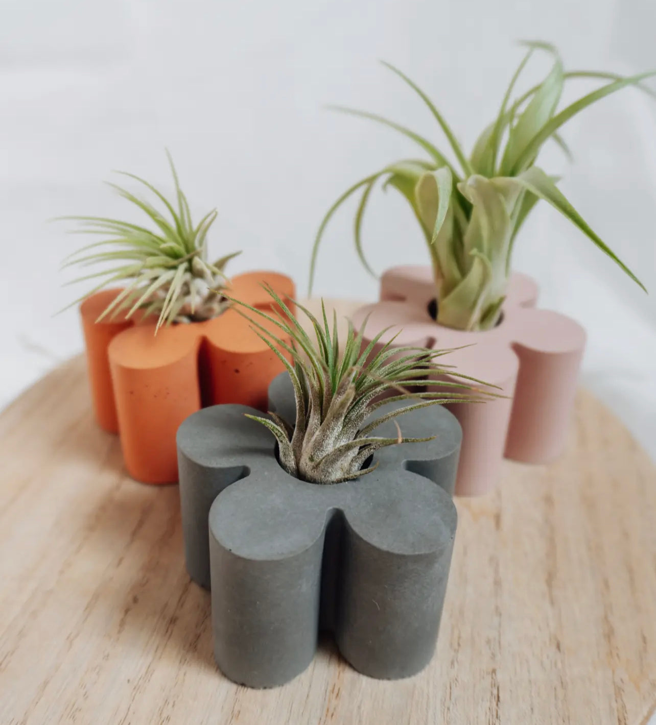 Flower Airplant Holder